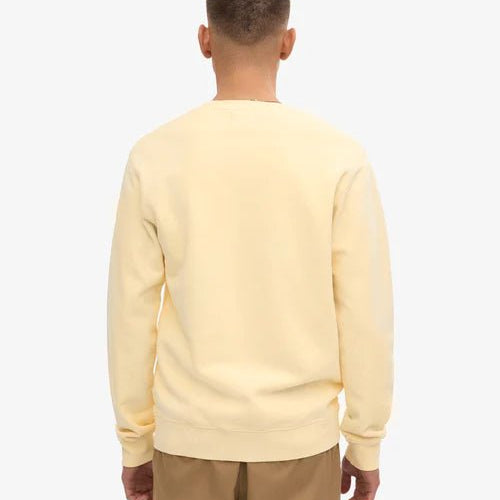 Colorful Standard Classic Organic Crew Neck Soft Yellow - Steranko Clothing Manchester