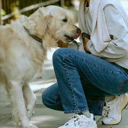 The Mercer Brand Re - Run Vintage White Blue - Steranko Clothing Manchester